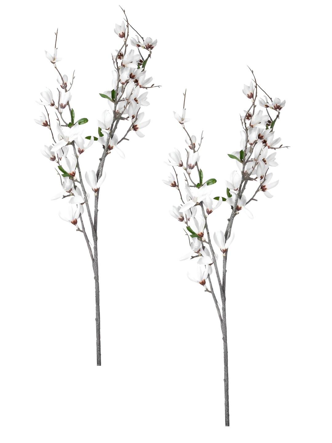 

Myntra Elegant Homes White 2 Pieces Magnolia Artificial Flower