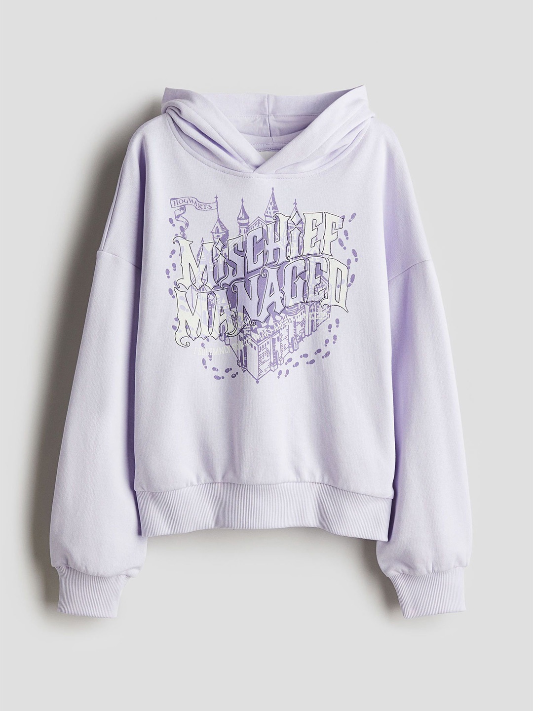 

H&M Oversized Printed Hoodie, Purple