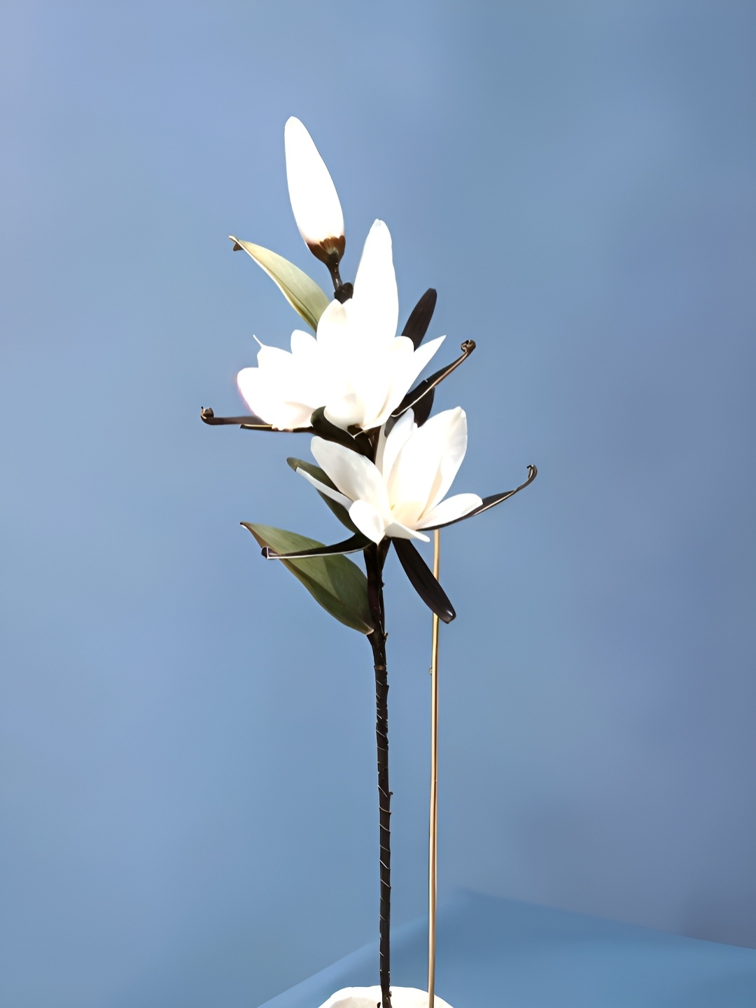 

Royaloak White 1 Pieces Artificial Flower