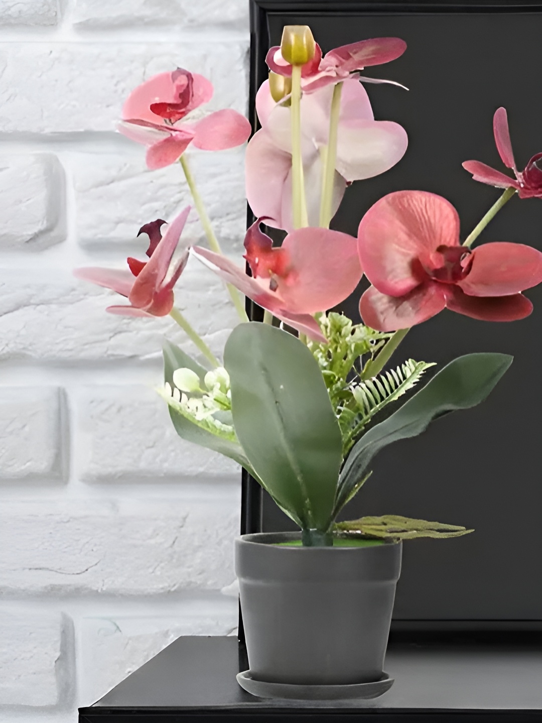 

Royaloak Red Butterfly Orchid Artificial Flower With Pot