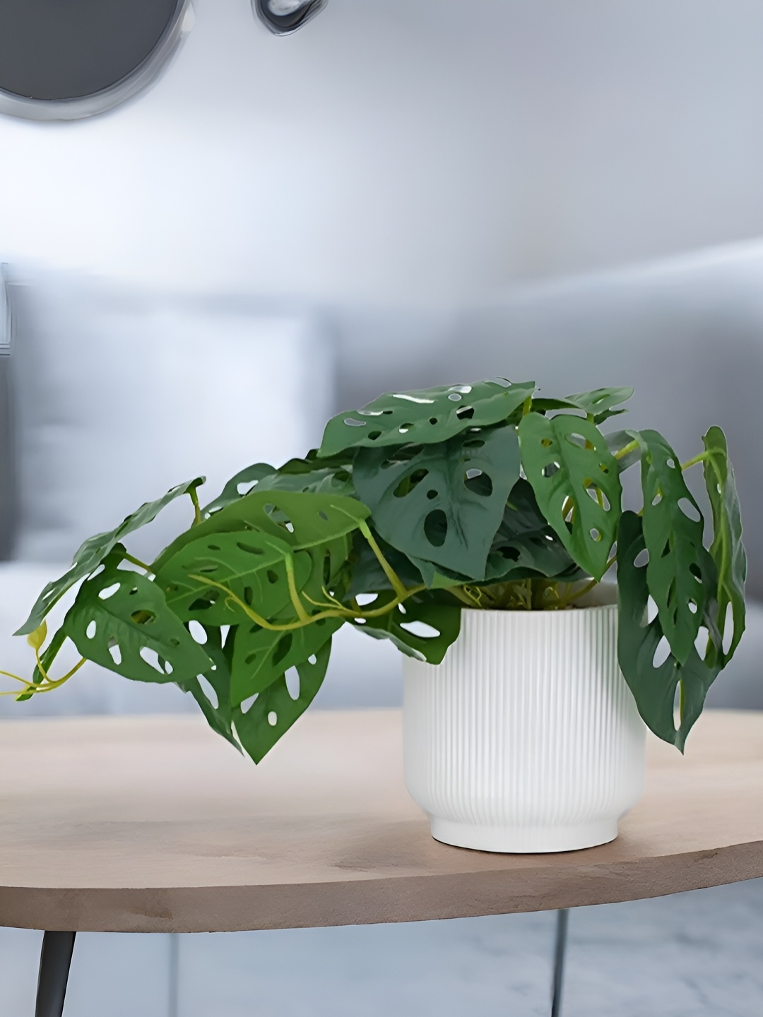 

Royaloak Green Farm Philodendron Artificial Plant With Pot