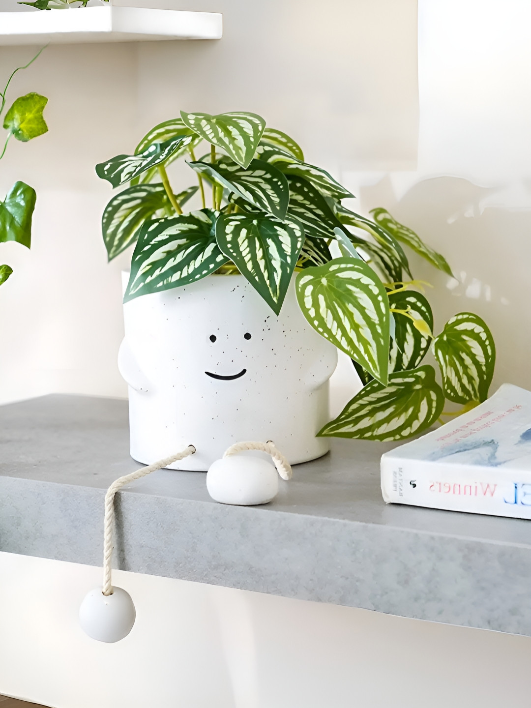 

Royaloak Green & Yellow Artificial Monstera Mini Plant With Pot