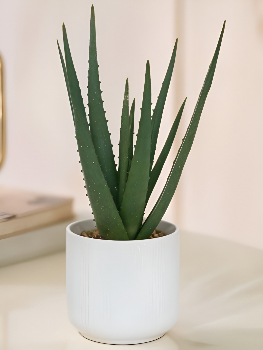 

Royaloak Green & White Sisal Aloe Vera Artificial Plant With Pot