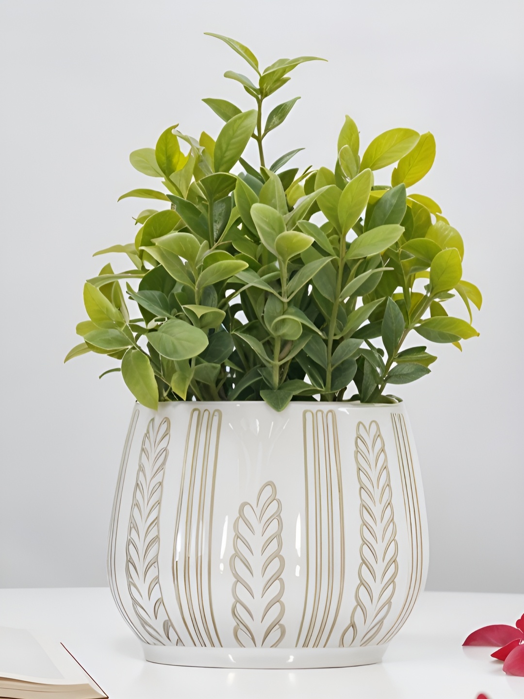 

Royaloak Green Artificial Plant With Pot