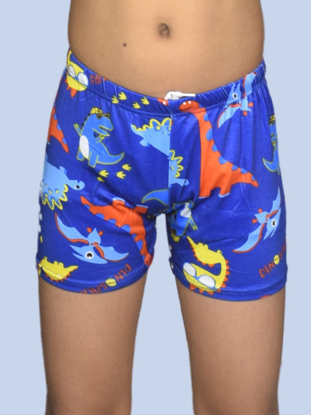 

Aqua Holic Printed Swim Shorts, Blue