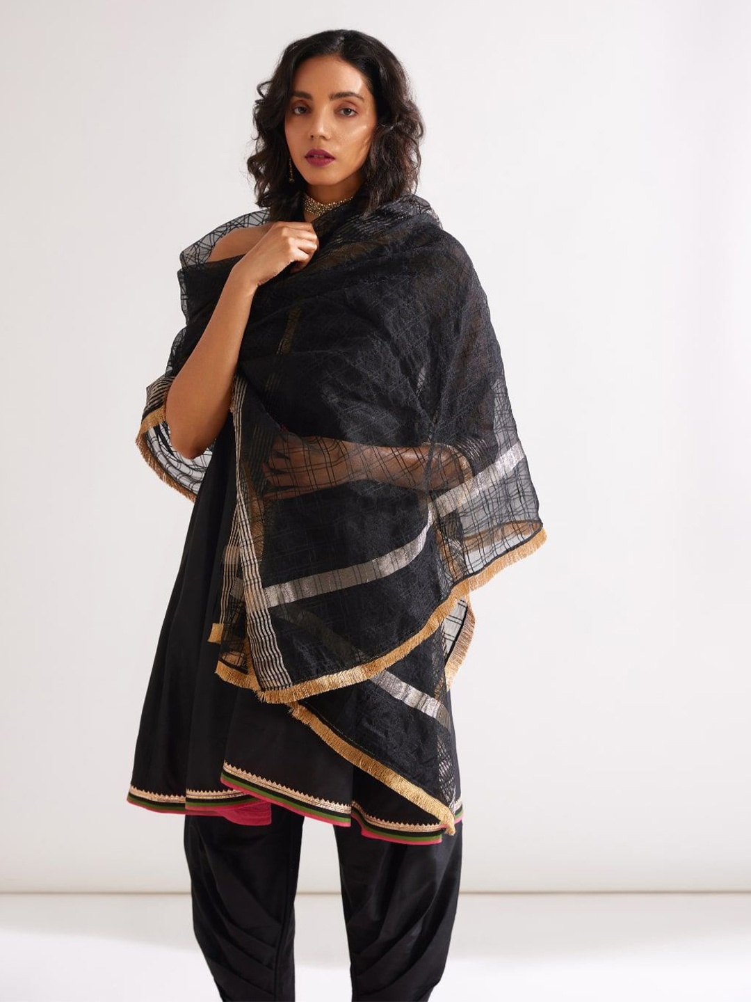 

Abhishti Checked Banarasi Raw Silk Dupatta With Zari, Black
