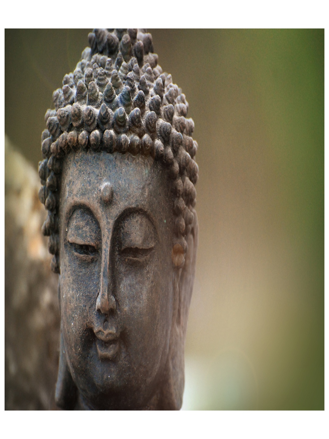 

Inephos Brown And Green Buddha Religious Canvas Wall Art