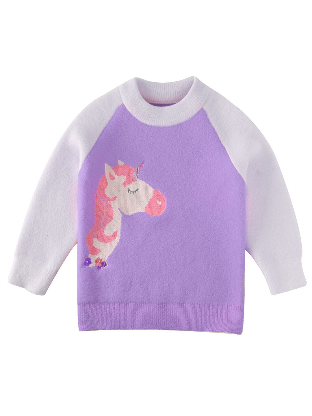 

Bold N Elegant Girls Colourblocked Pullover, Purple