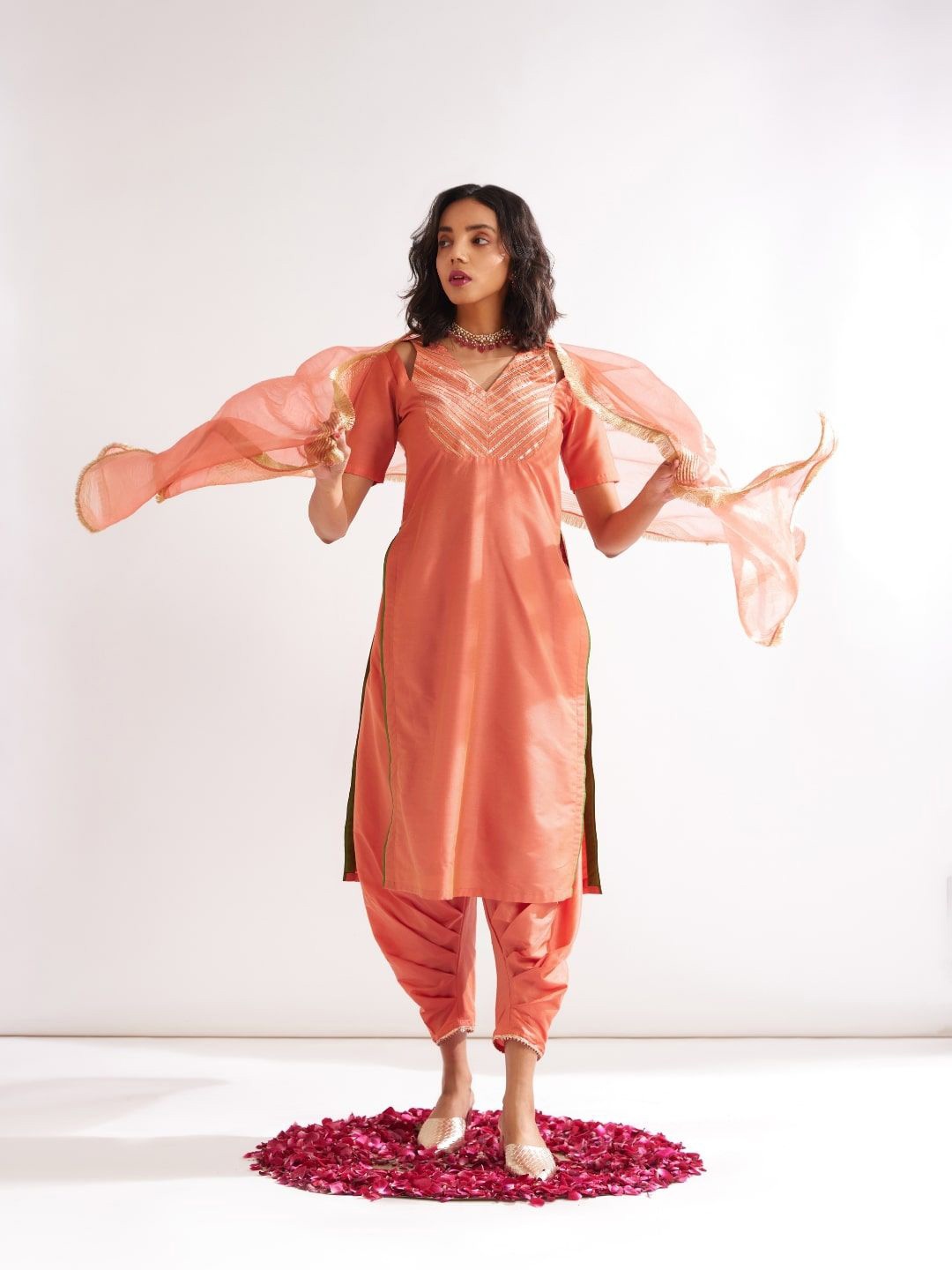

Abhishti Banarasi Raw Silk Dupatta With Zari, Peach