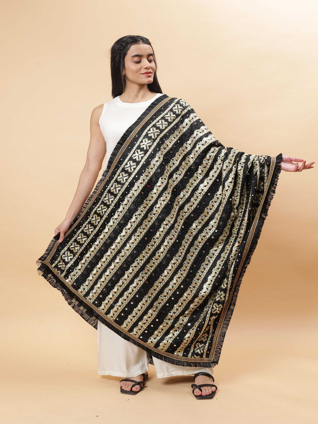 

Moda Chales Ethnic Motifs Embroidered Mirror Work Phulkari Dupatta, Black
