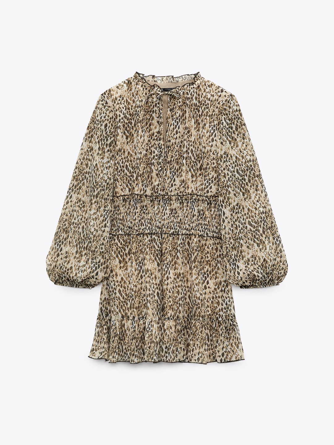 

ZARA Women Transparent Dresses