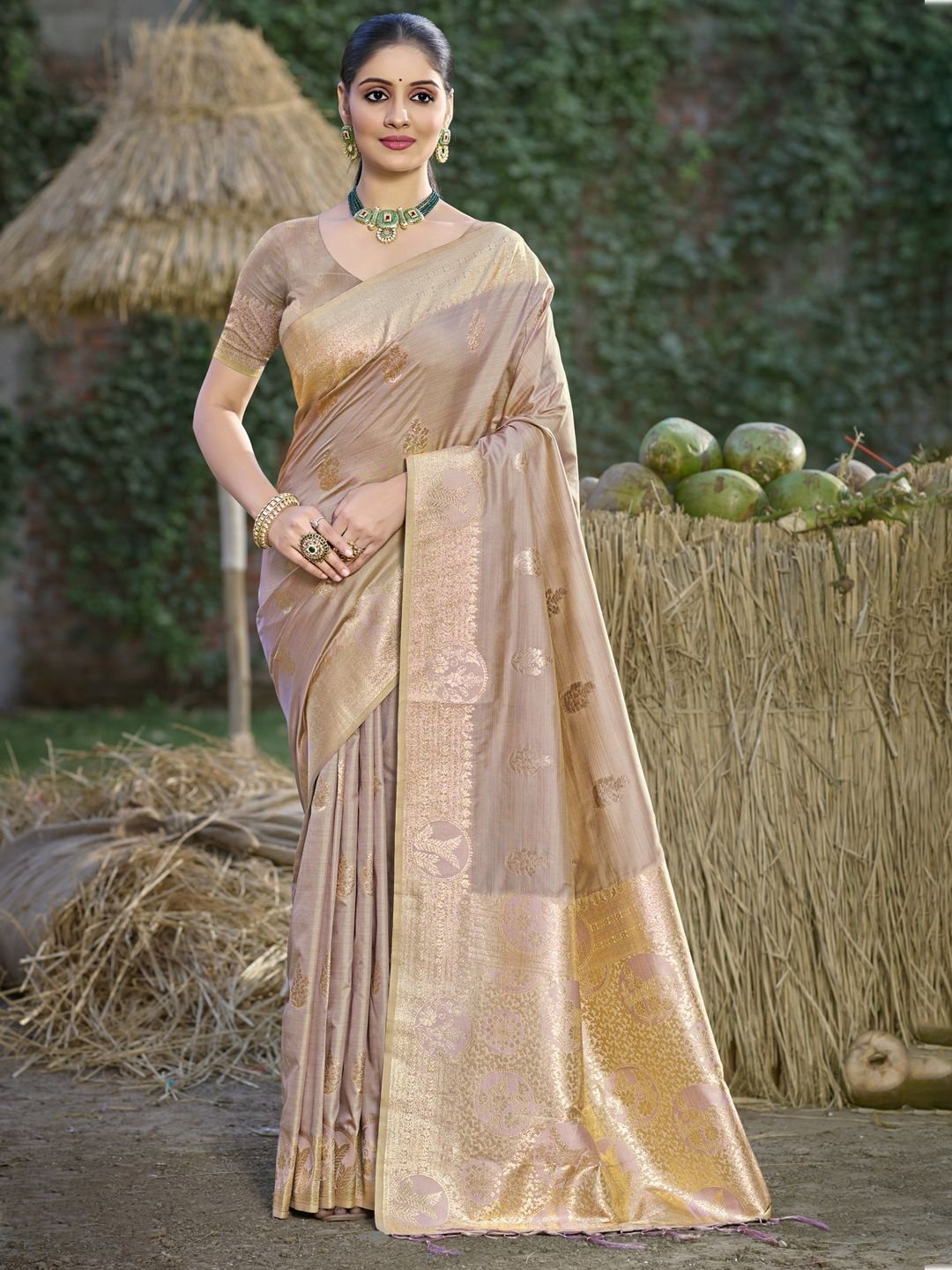 

SANGAM PRINTS Woven Design Zari Tussar Saree, Beige
