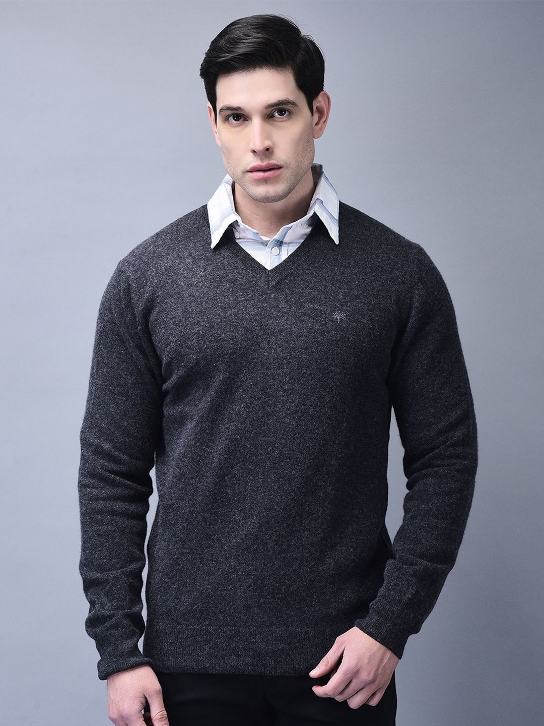 

Woodland Men V-Neck Pullover Sweatshirt, Navy blue