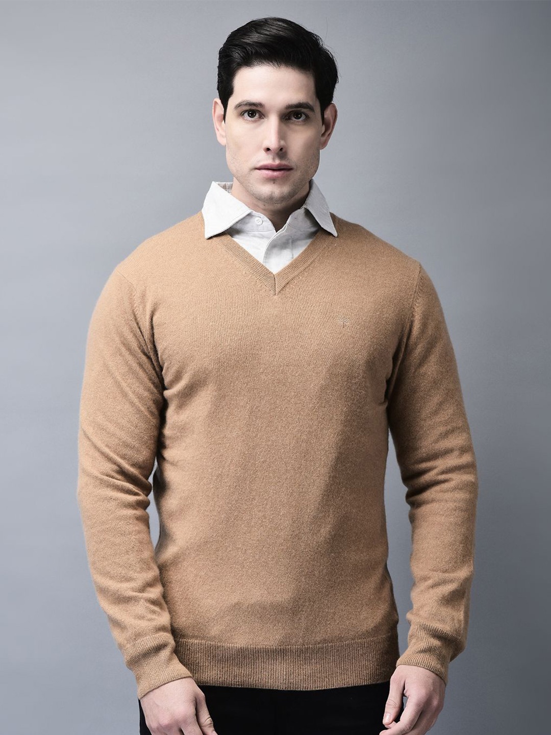 

Woodland Men V - Neck Sweatshirt, Brown