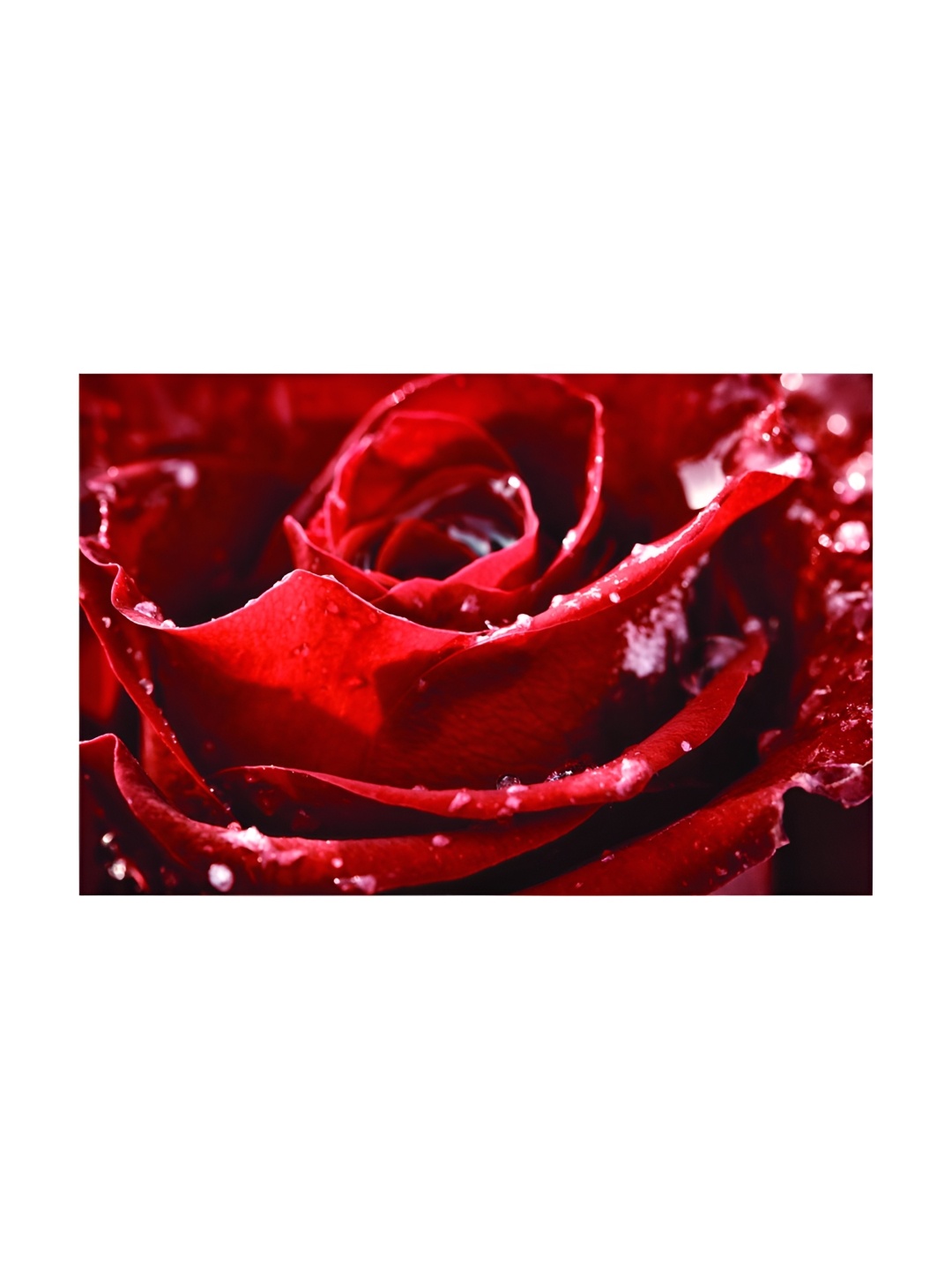 

Inephos Red And White Floral and Botanical Canvas Wall Art
