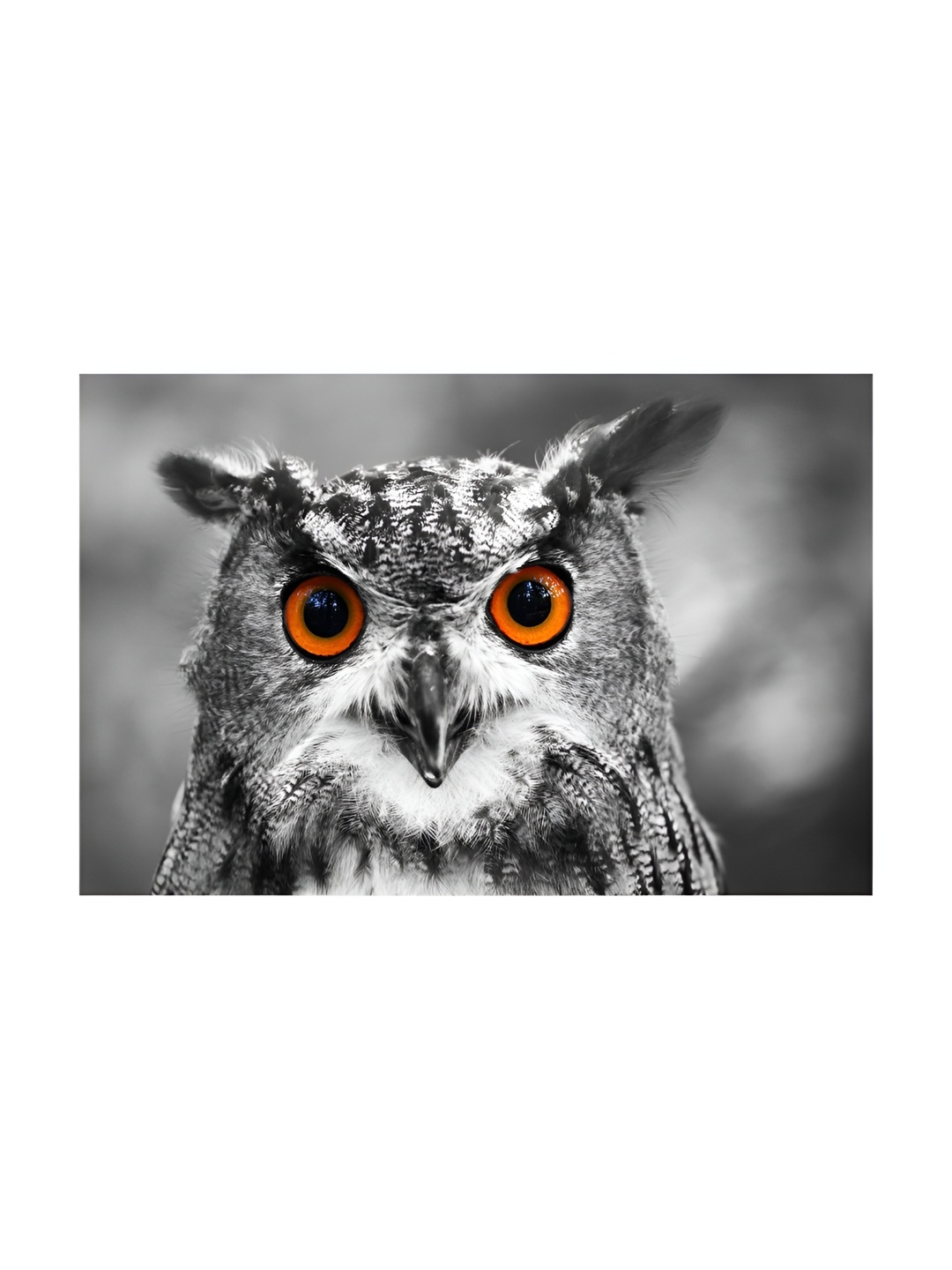 

Inephos White & Grey 1 Piece Birds and Animals Printed Canvas Wall Art