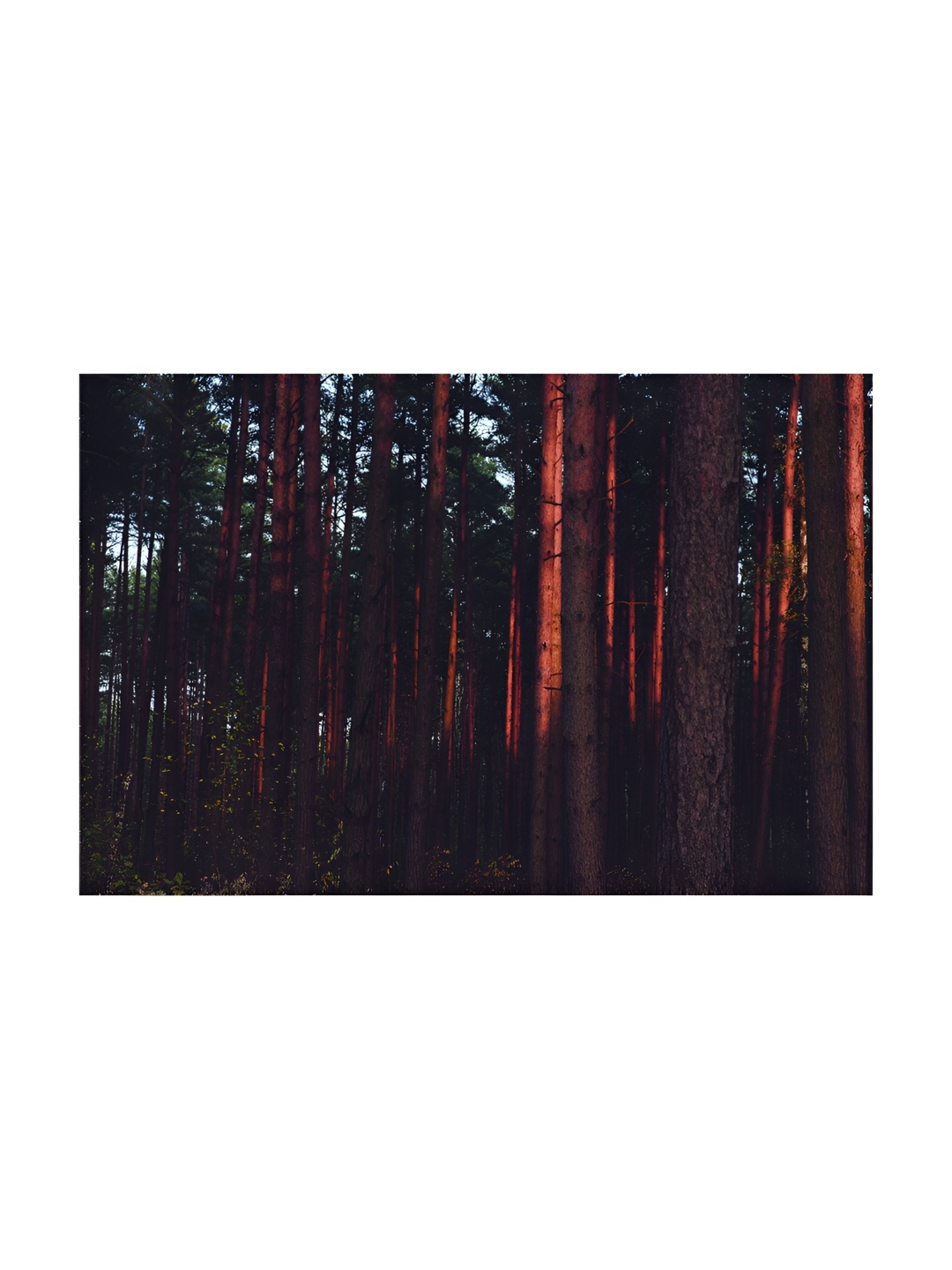Inephos Brown And Black Printed Canvas Wall Art