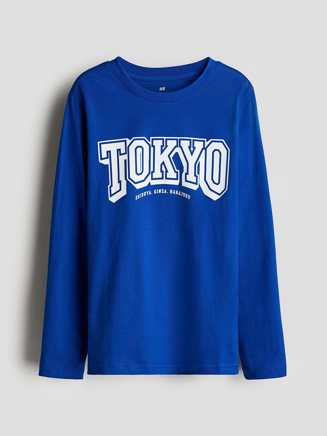 

H&M Long-Sleeved T-shirt, Blue