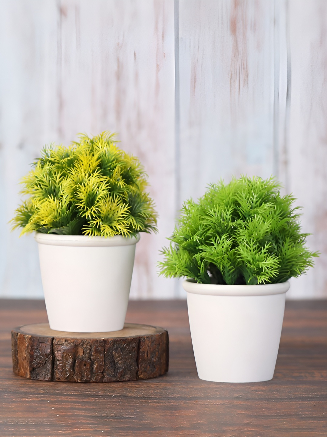 

FOLIYAJ Green & White 2 Pieces Artificial Bushy Plant With Pot