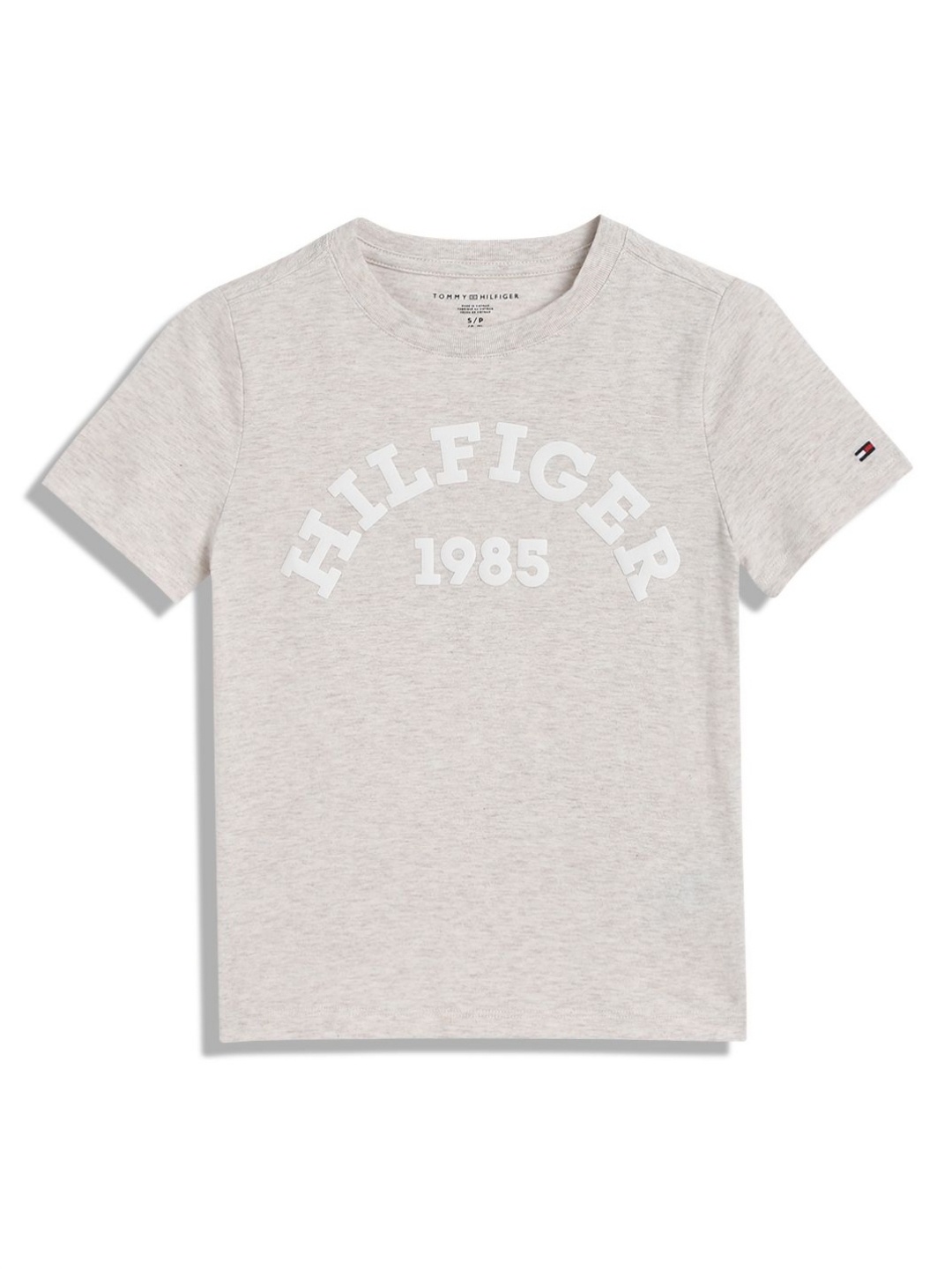 

Tommy Hilfiger Boys Typography Printed Round Neck Cotton T-shirt, Grey