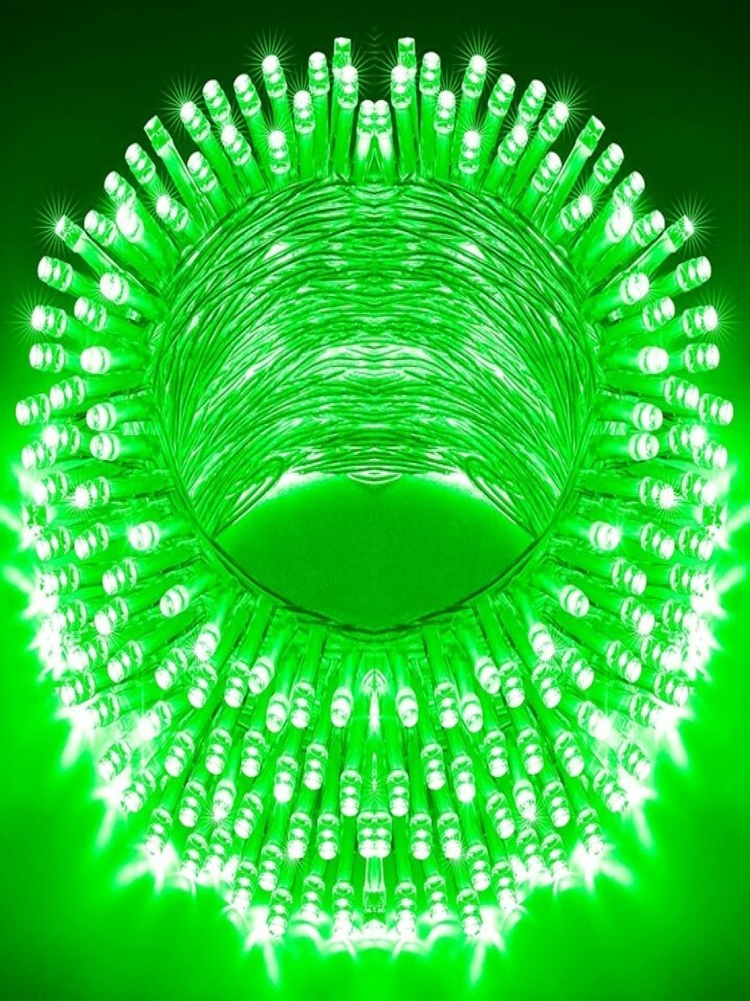 

SPARK WORLD Green LED String Lights