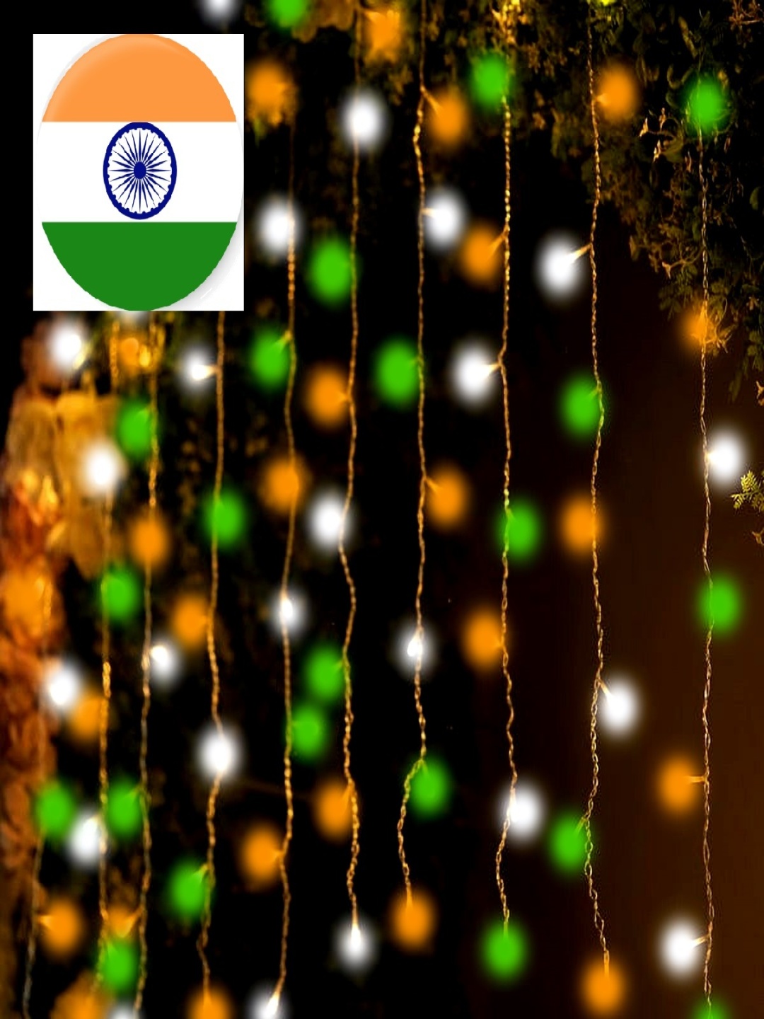 

SPARK WORLD Orange-Colored & Green LED String Lights