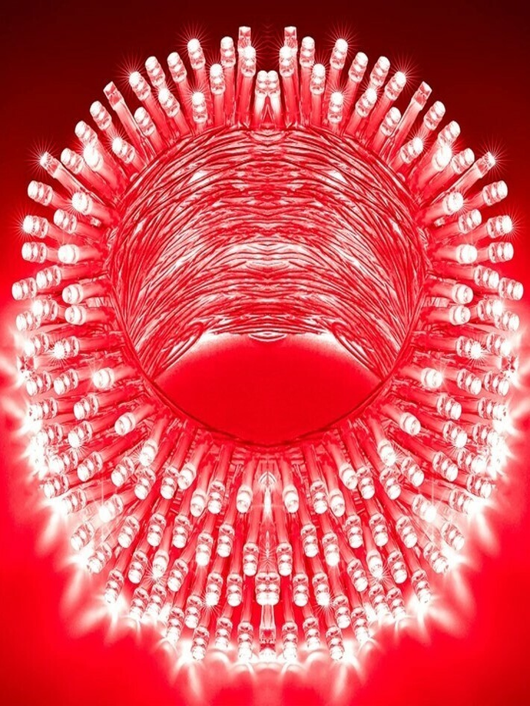 

SPARK WORLD Red LED String Lights