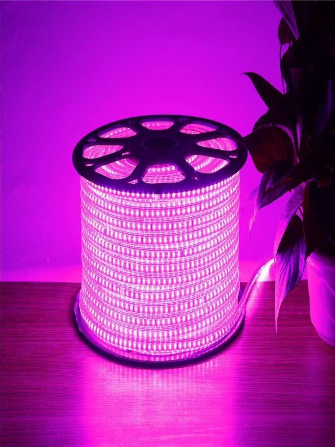

SPARK WORLD Pink Striped String Lights
