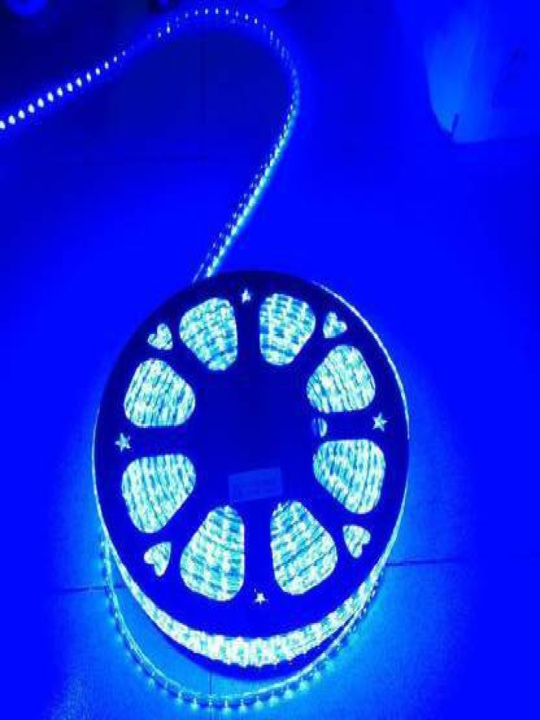 

SPARK WORLD Blue Rice Shaped LED String Lights Rope