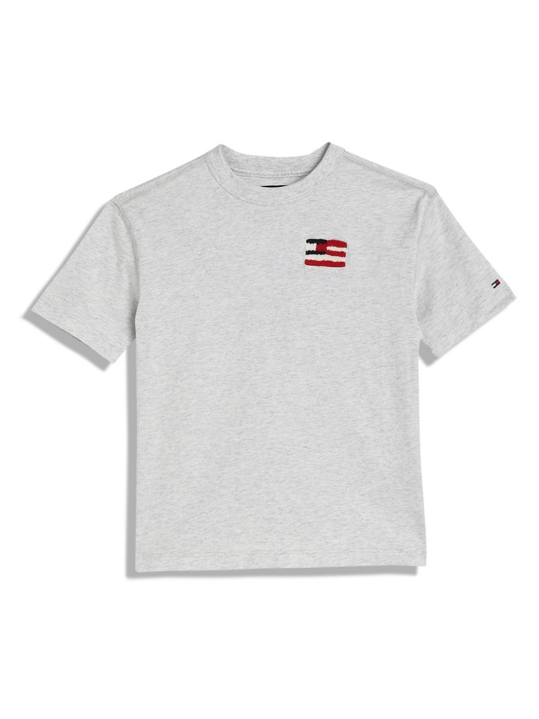 

Tommy Hilfiger Boys Graphic Printed Round Neck Cotton T-shirt, Grey