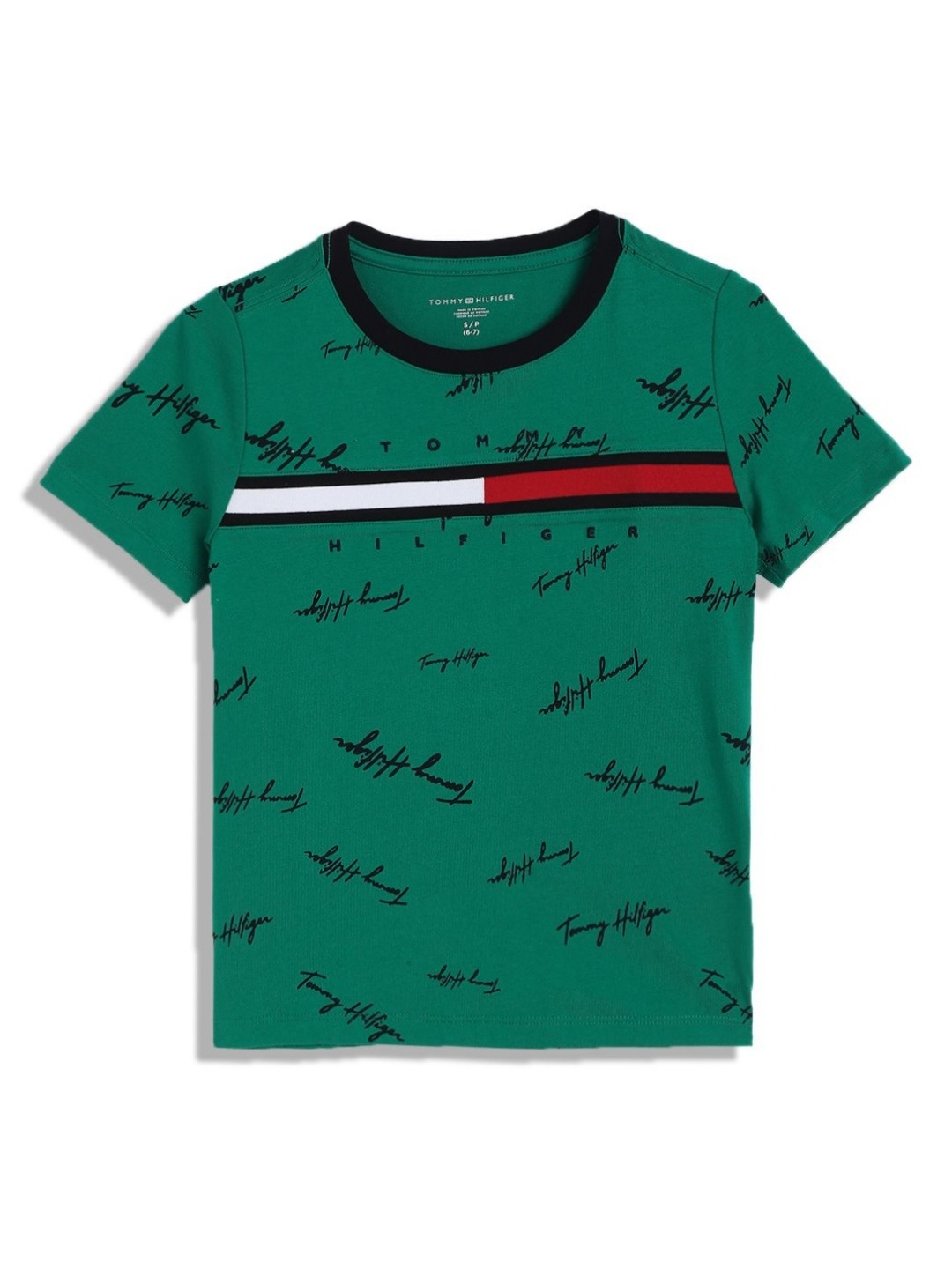 

Tommy Hilfiger Boys Typography Printed Round Neck Cotton T-shirt, Green