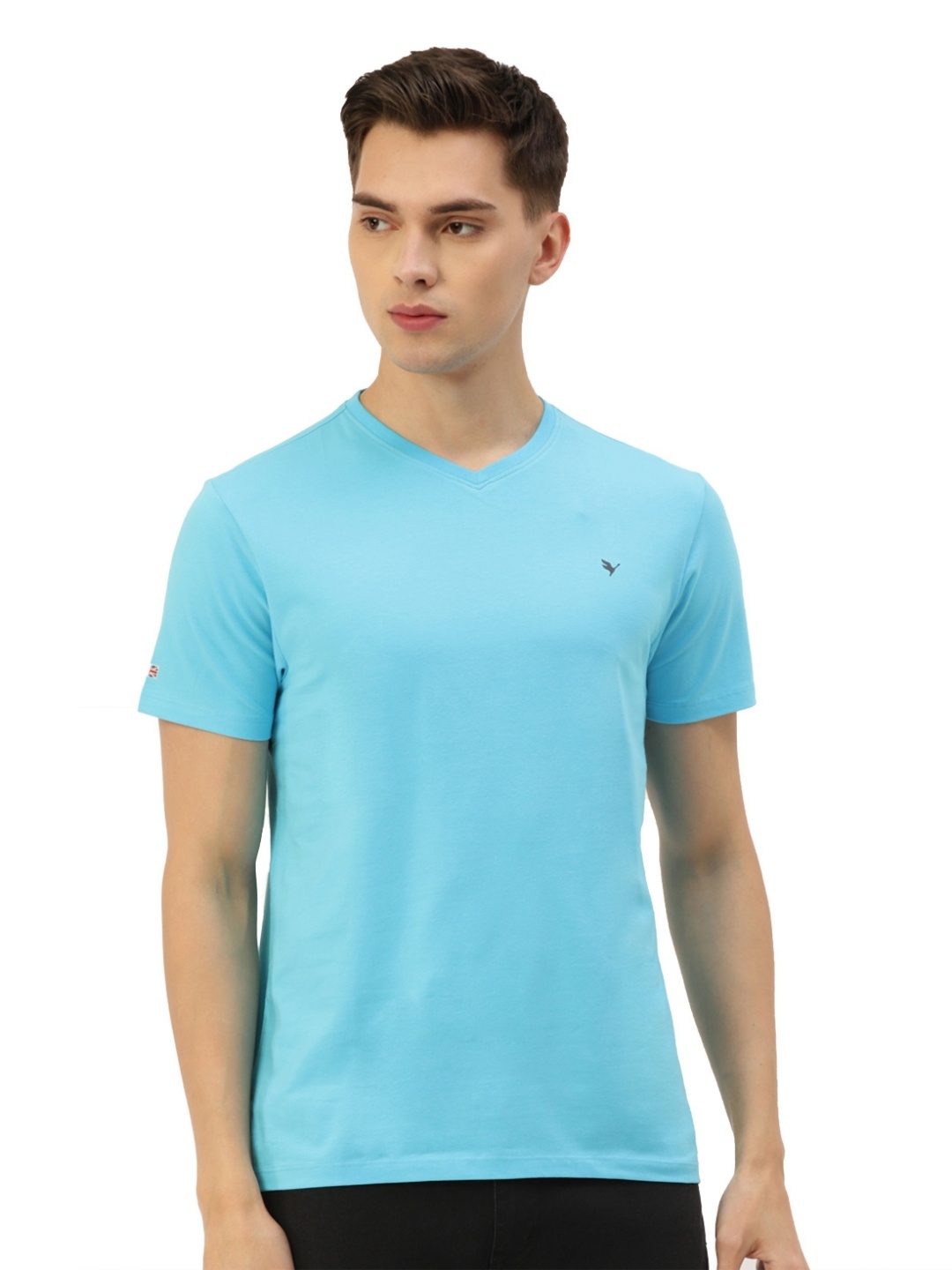 

AMSWAN Men V-Neck T-shirt, Blue