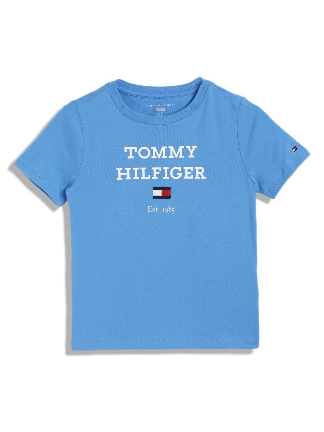 

Tommy Hilfiger Boys Typography Printed Round Neck Cotton T-shirt, Blue