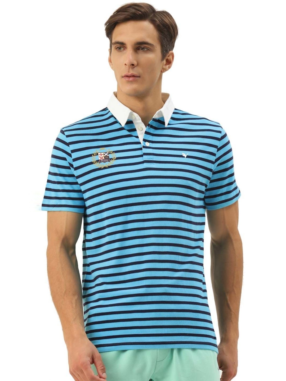 

AMSWAN Men Striped Polo Collar Applique T-shirt, Blue