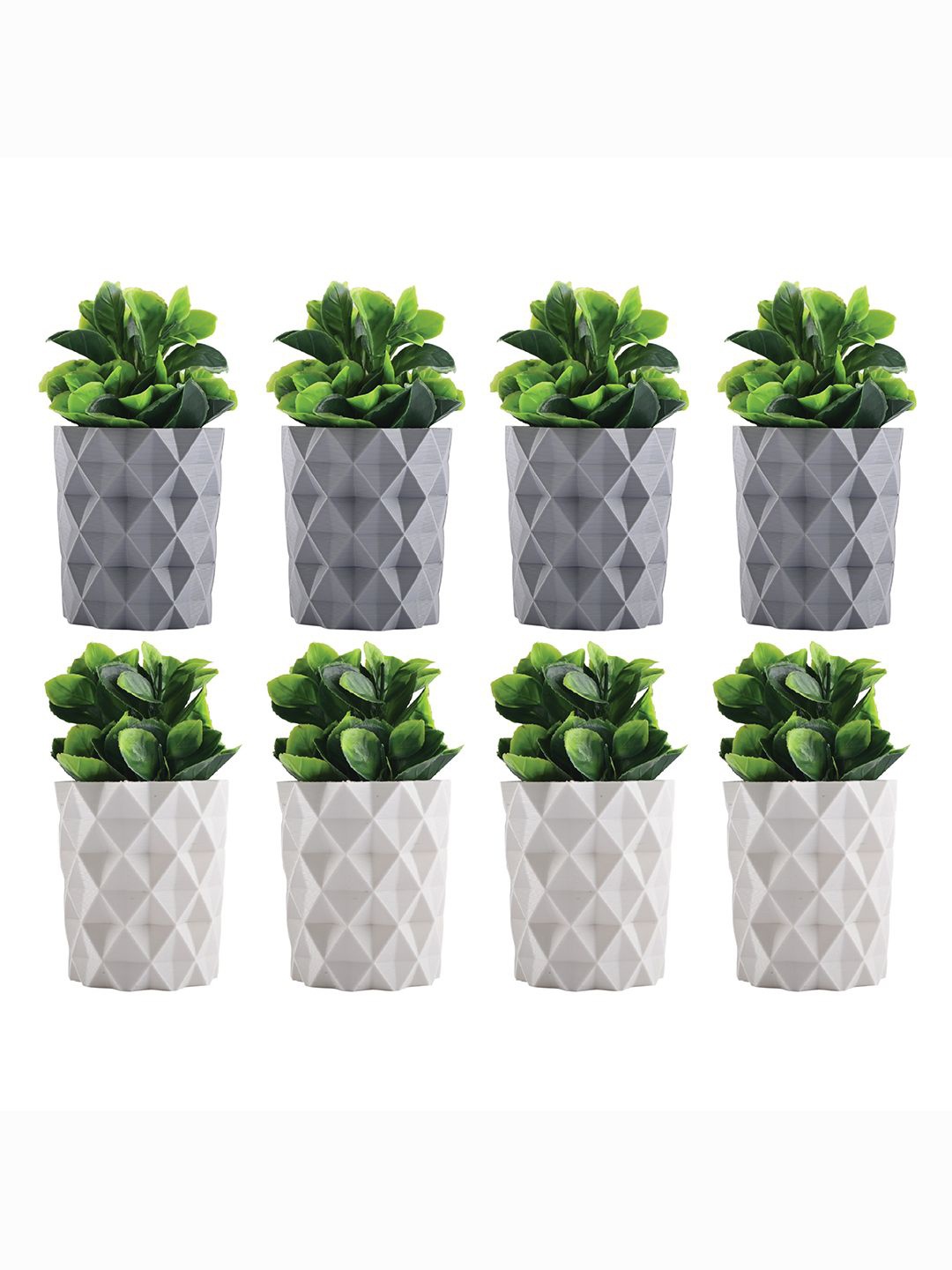 

Kuber Industries White & Grey 8 Pieces Succulent Artificial Plants With Pots