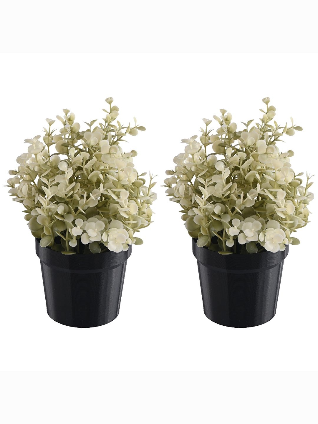 

Kuber Industries Black & Green 2 Pieces Artificial Plants With Pots
