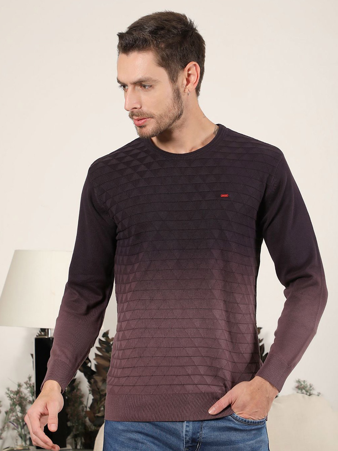 

COBB Men Colourblocked Pullover, Mauve