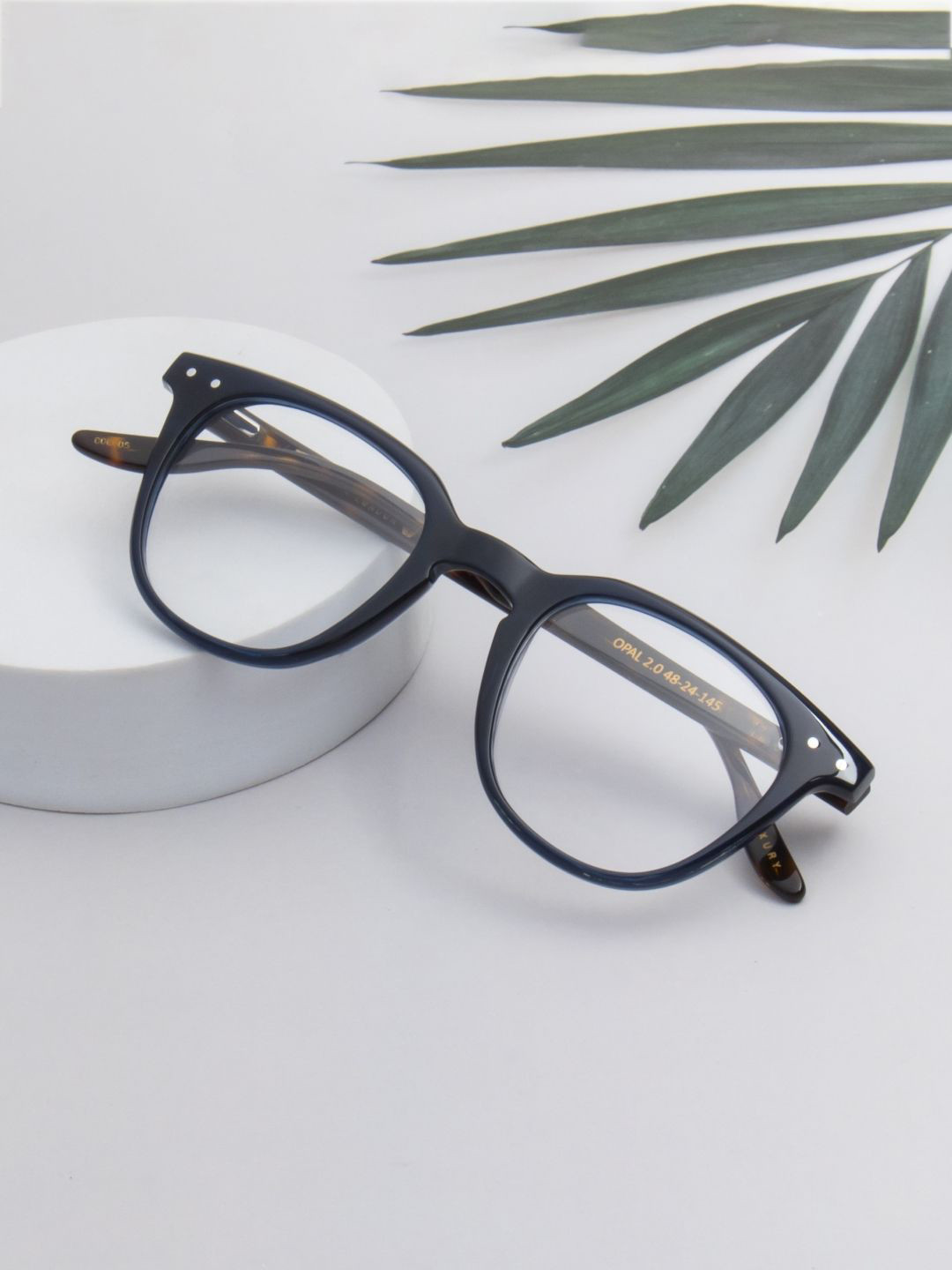 

Ted Smith Unisex Blue Wayfarer Premium Acetate Frames