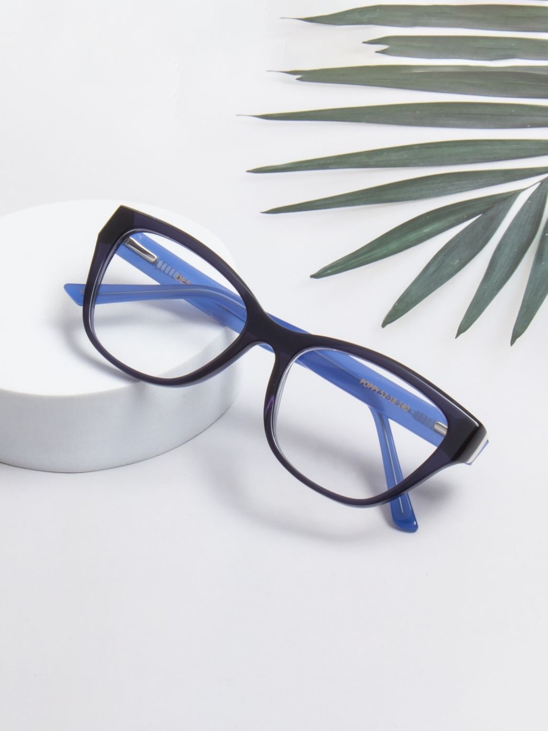 

Ted Smith Women Colourblocked Cateye Premium Acetate Frames, Black