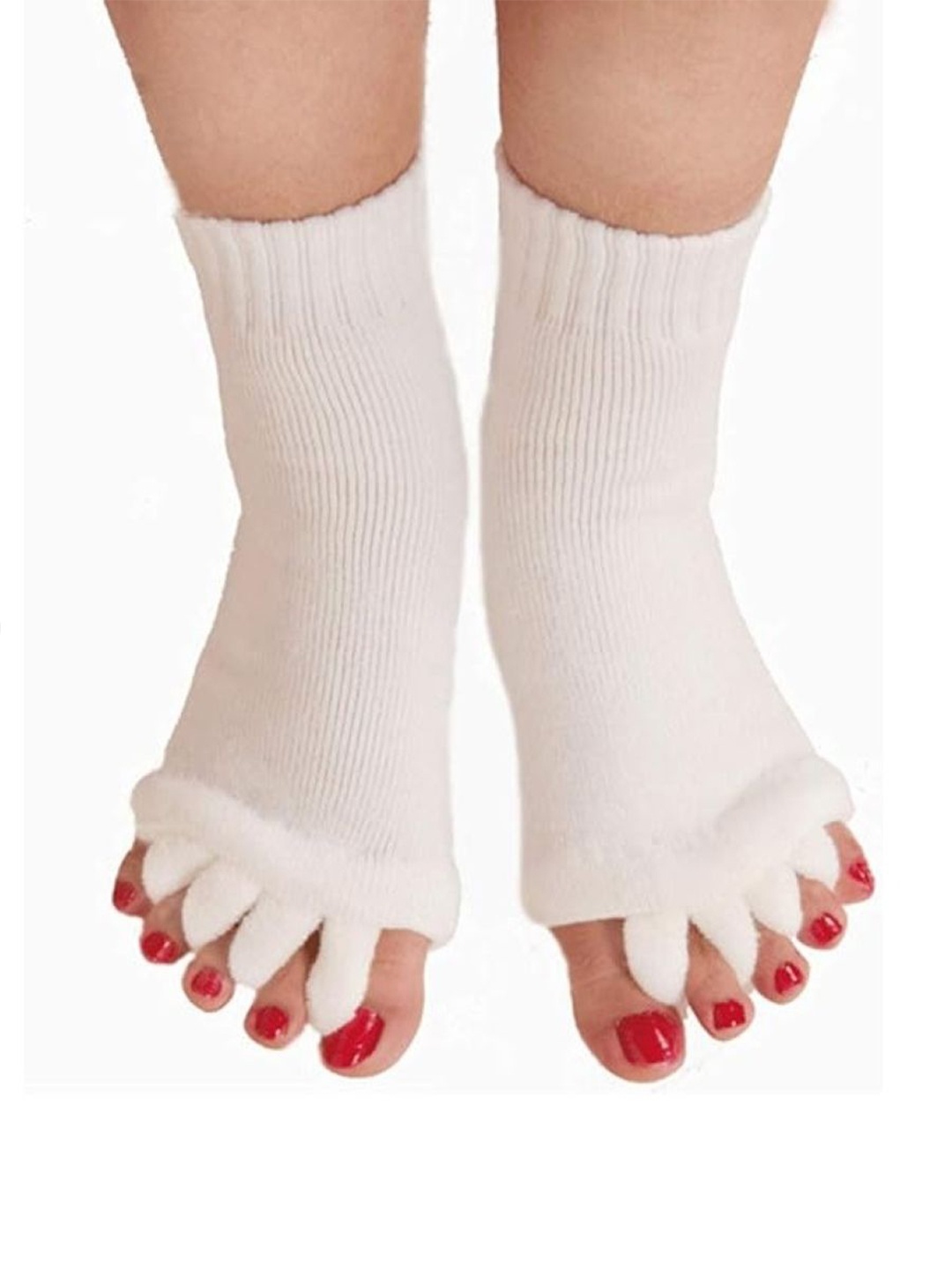 

EL REGALO Women Calf Length Socks, White