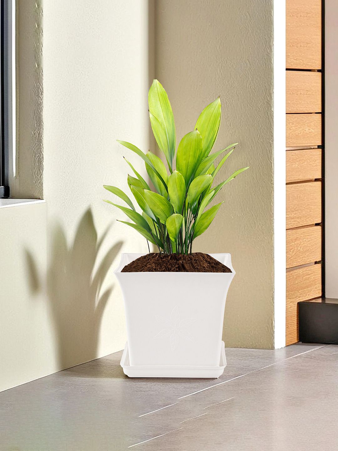 

Kuber Industries White and Green Textured Flower Planters With Tray