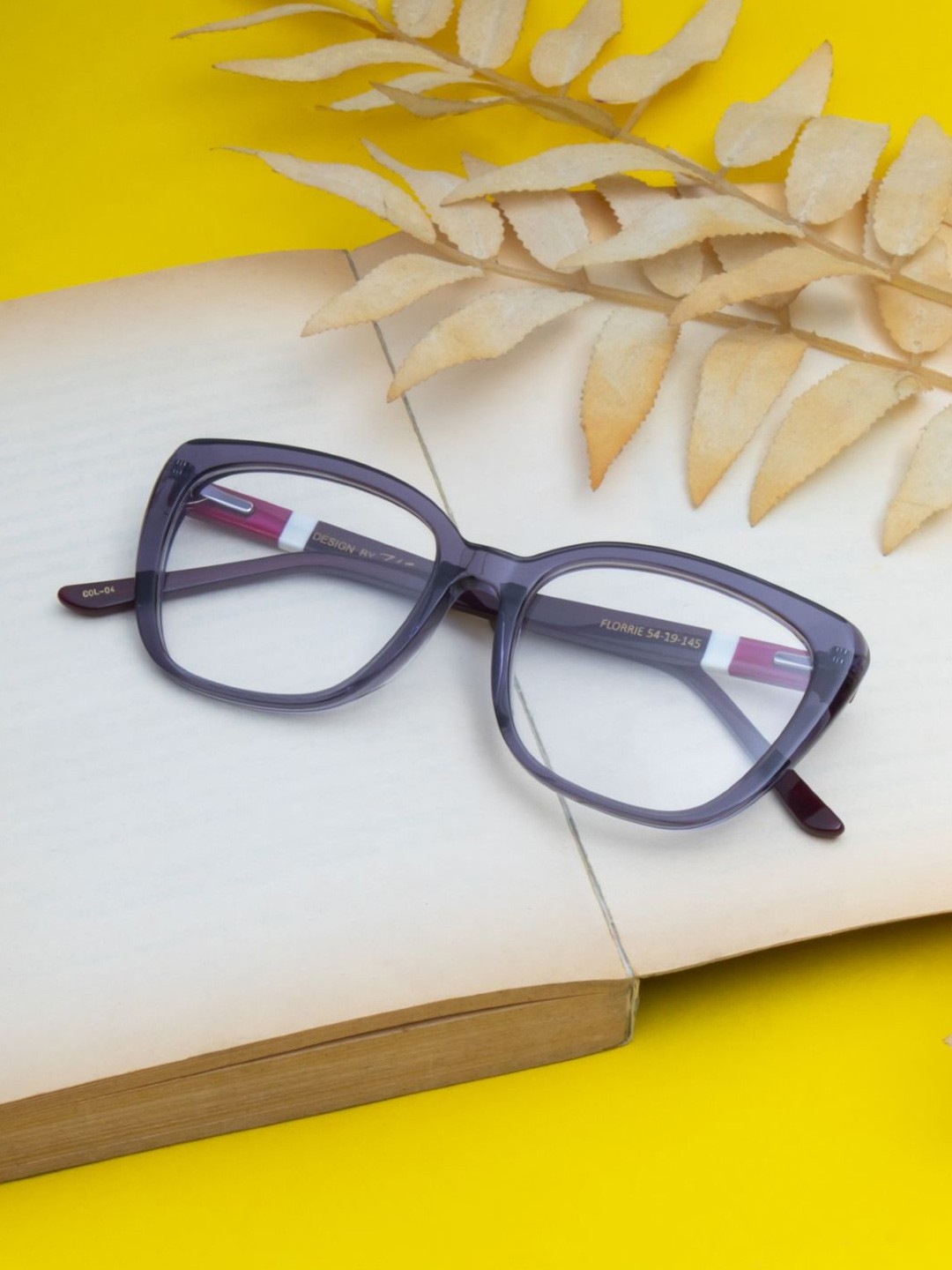 

Ted Smith Women Colourblocked Cateye Luxury Acetate Frames, Grey