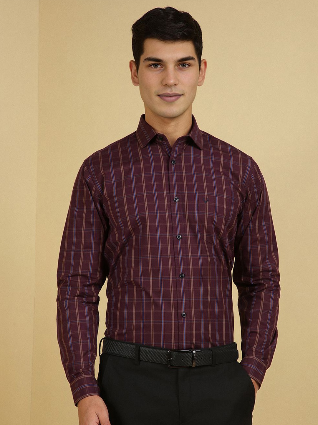 

Allen Solly Men Slim Fit Spread Collar Checked Cotton Formal Shirt, Burgundy