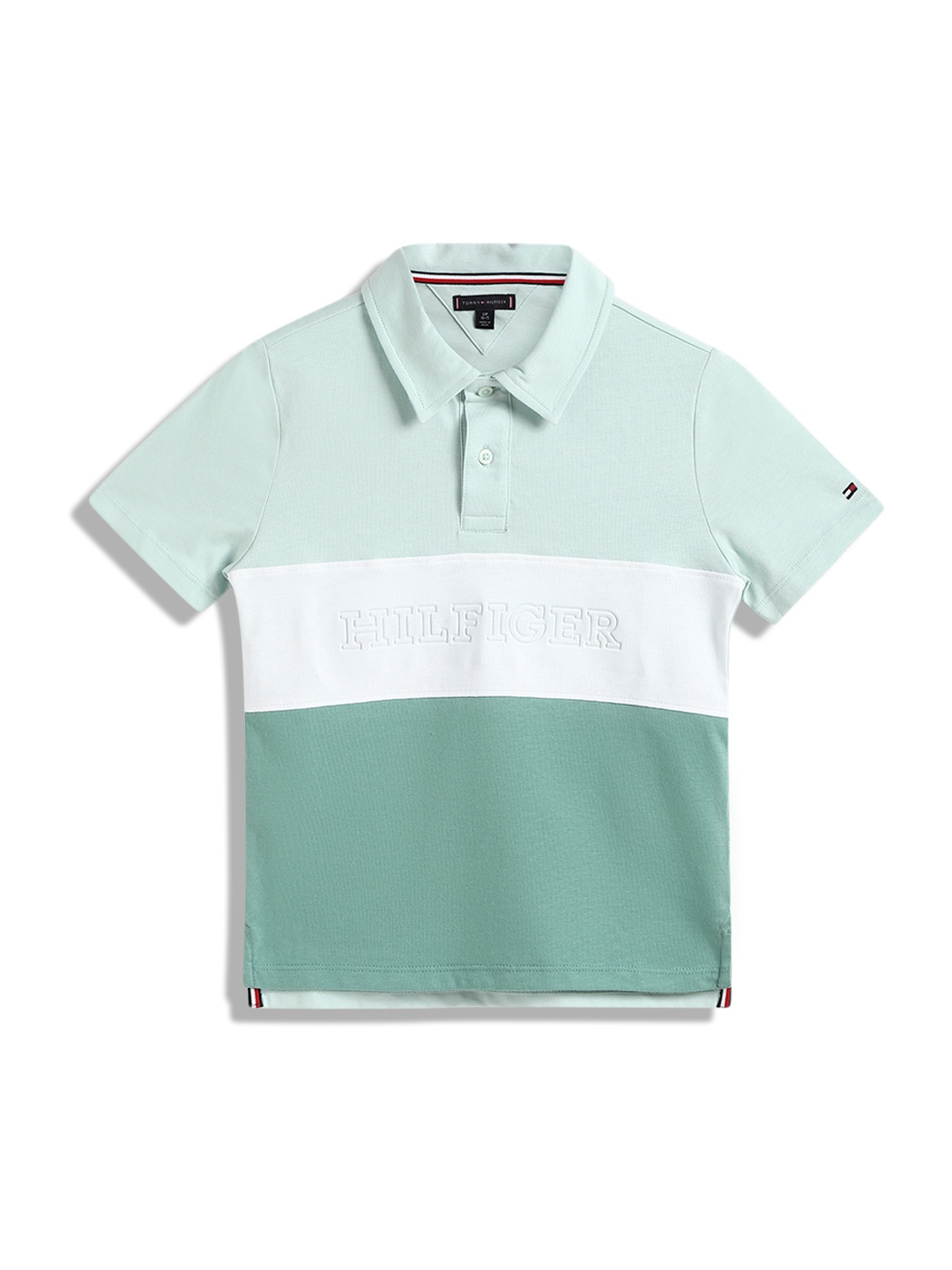 

Tommy Hilfiger Boys Colourblocked Polo Collar T-shirt, Green