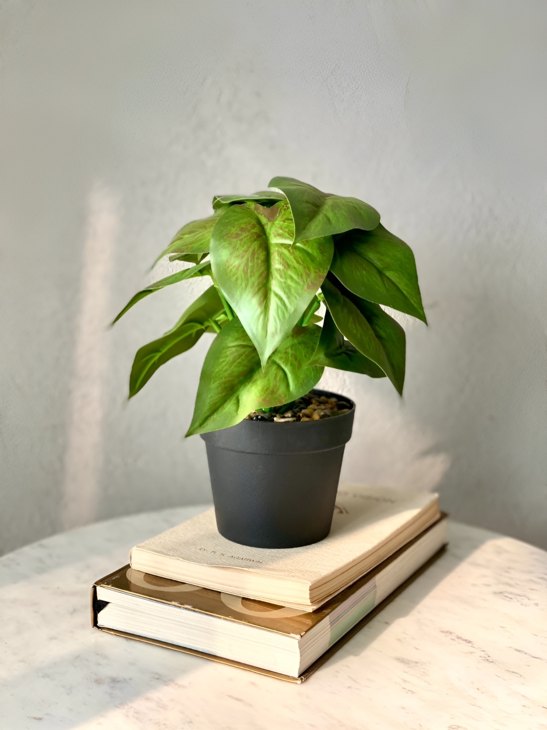 

Mason Home Green Artificial Golden Pothos Plant