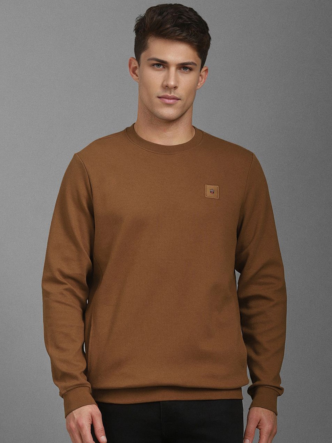 

Louis Philippe Sport Men Cotton Sweatshirt, Brown