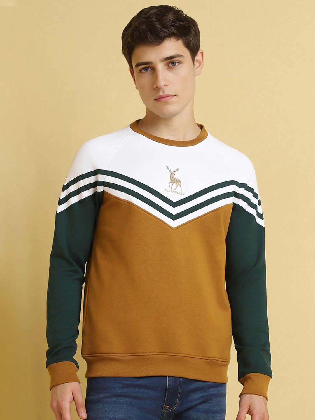 

Allen Solly Men Colourblocked Sweatshirt, Brown