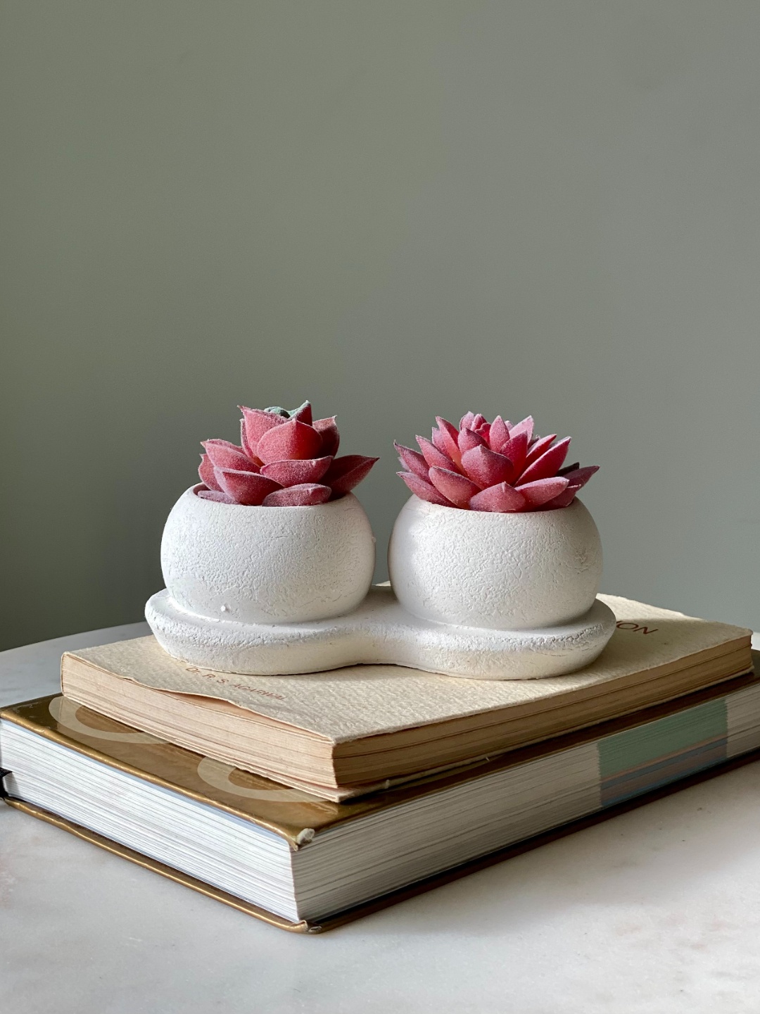 

Mason Home Pink & White Artificial Twin Succulent