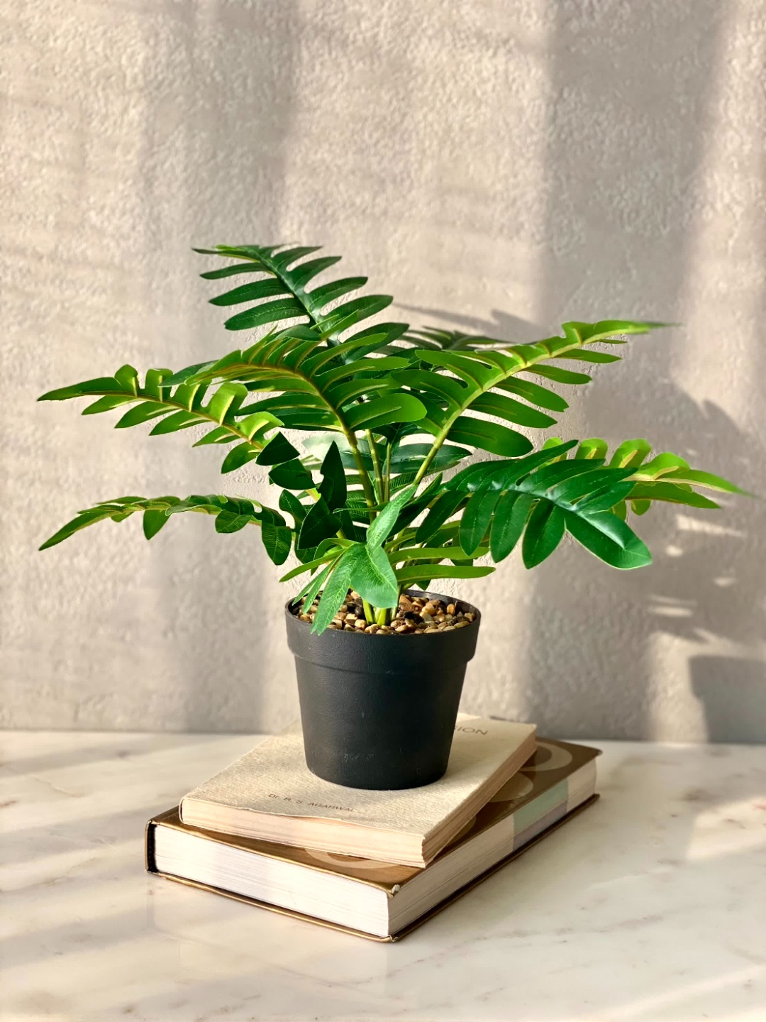 

Mason Home Green Artificial Furfuracea Plant