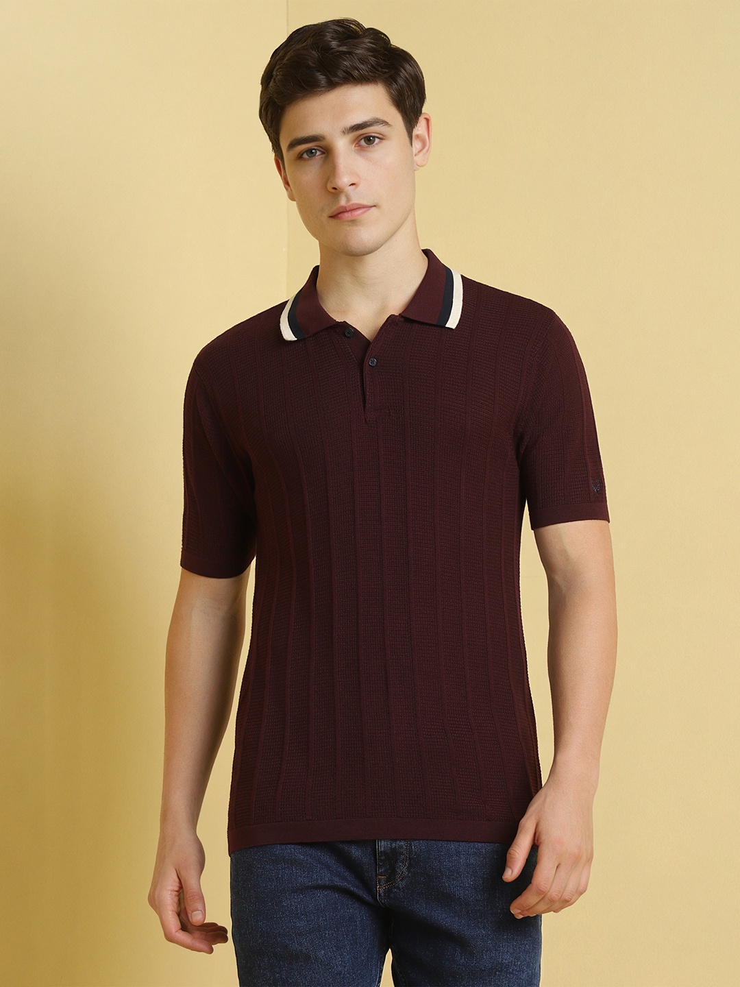 

Allen Solly Men Self Design Polo Collar Cotton T-shirt, Burgundy